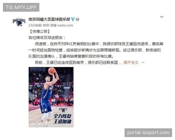尼斯伤病潮持续，八名球员无法出战里尔
